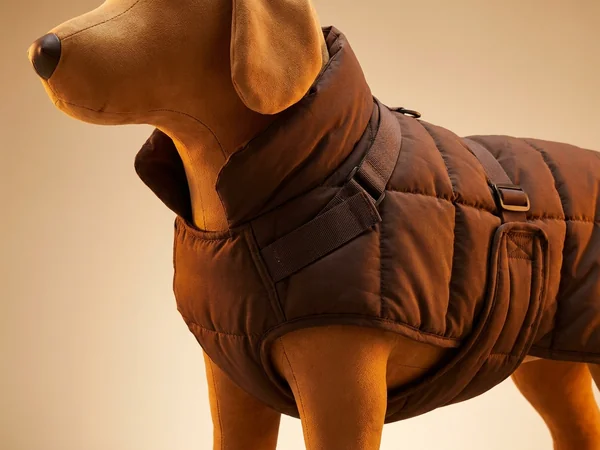 Insulated dog warming jacket for cold weather
